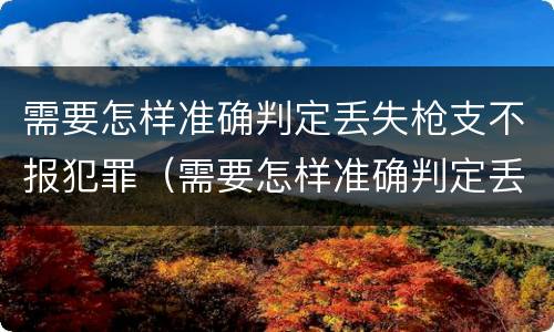 需要怎样准确判定丢失枪支不报犯罪（需要怎样准确判定丢失枪支不报犯罪记录）