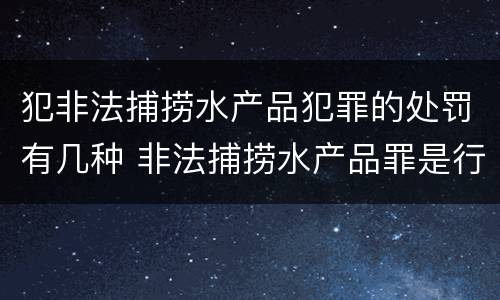 犯非法捕捞水产品犯罪的处罚有几种 非法捕捞水产品罪是行为犯吗