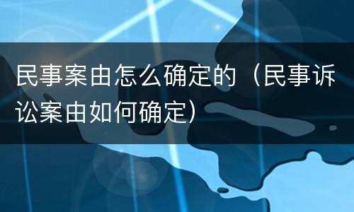 民事案由怎么确定的（民事诉讼案由如何确定）