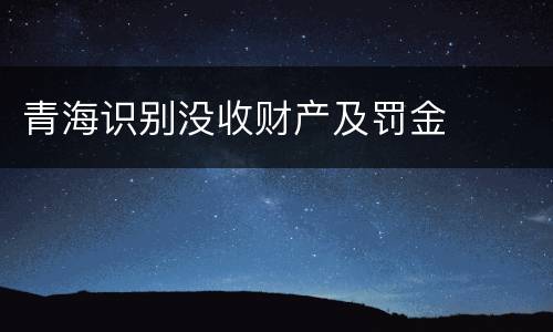 青海识别没收财产及罚金
