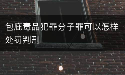 包庇毒品犯罪分子罪可以怎样处罚判刑