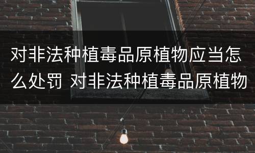 对非法种植毒品原植物应当怎么处罚 对非法种植毒品原植物经公安机关处理后又种植
