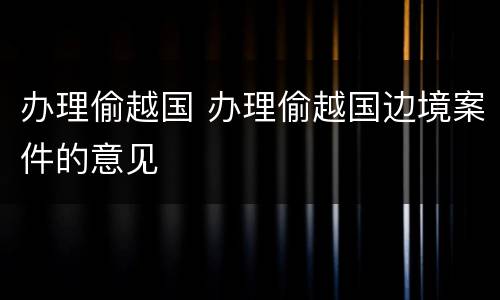 办理偷越国 办理偷越国边境案件的意见