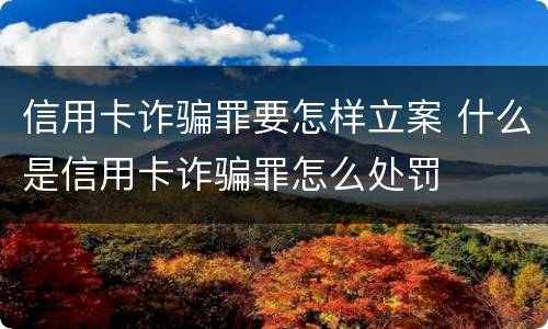 信用卡诈骗罪要怎样立案 什么是信用卡诈骗罪怎么处罚