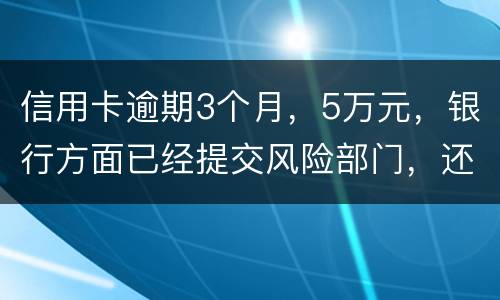 信用卡逾期3个月，5万元，银行方面已经提交风险部门，还不上什么办
