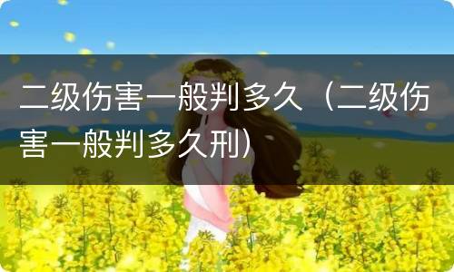 二级伤害一般判多久（二级伤害一般判多久刑）