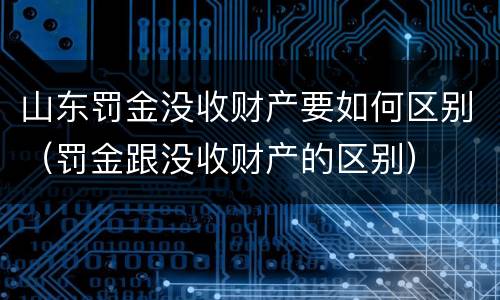 山东罚金没收财产要如何区别（罚金跟没收财产的区别）