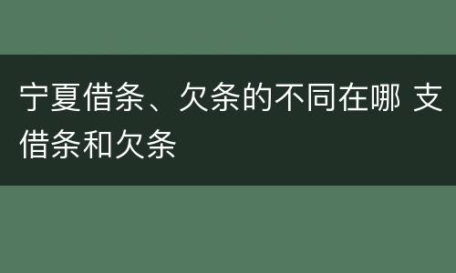 宁夏借条、欠条的不同在哪 支借条和欠条