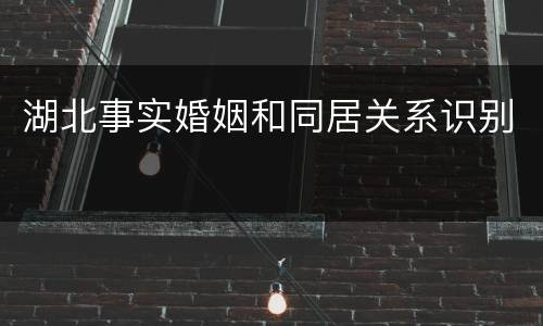 湖北事实婚姻和同居关系识别