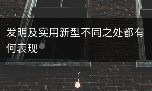 发明及实用新型不同之处都有何表现