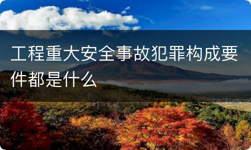 工程重大安全事故犯罪构成要件都是什么