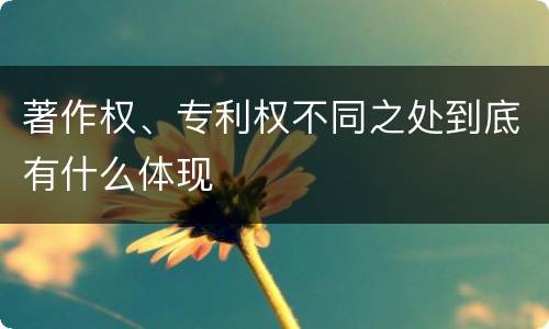 著作权、专利权不同之处到底有什么体现