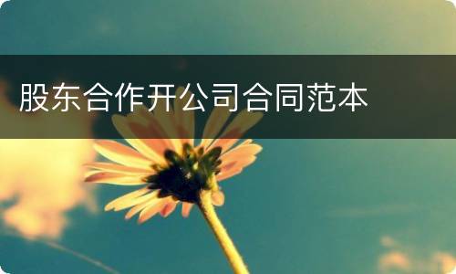 股东合作开公司合同范本