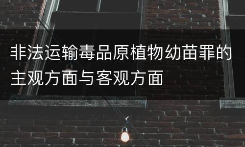非法运输毒品原植物幼苗罪的主观方面与客观方面