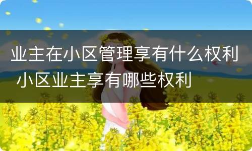 业主在小区管理享有什么权利 小区业主享有哪些权利