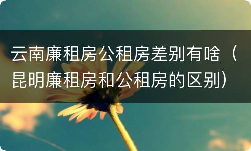 云南廉租房公租房差别有啥（昆明廉租房和公租房的区别）