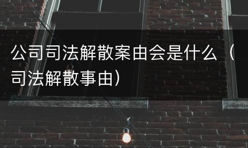 公司司法解散案由会是什么（司法解散事由）