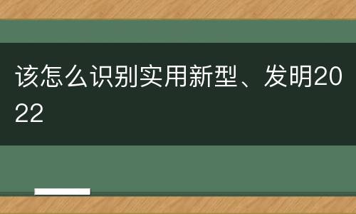 该怎么识别实用新型、发明2022