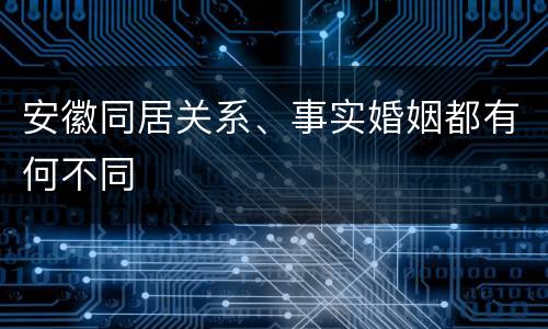 安徽同居关系、事实婚姻都有何不同