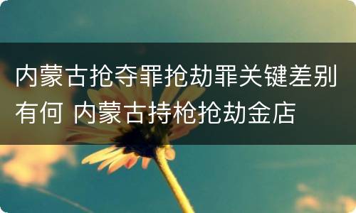 内蒙古抢夺罪抢劫罪关键差别有何 内蒙古持枪抢劫金店