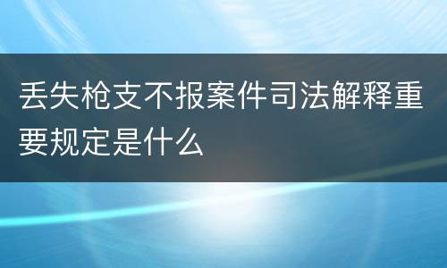 丢失枪支不报案件司法解释重要规定是什么
