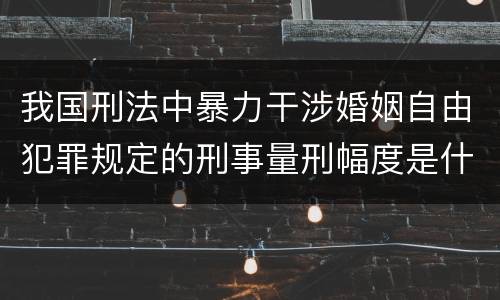 我国刑法中暴力干涉婚姻自由犯罪规定的刑事量刑幅度是什么