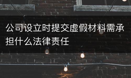 公司设立时提交虚假材料需承担什么法律责任