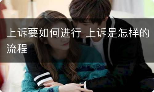 上诉要如何进行 上诉是怎样的流程