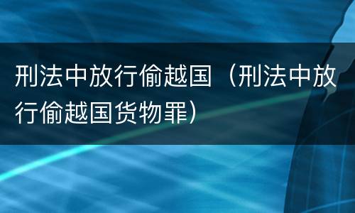 刑法中放行偷越国（刑法中放行偷越国货物罪）