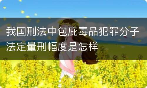 我国刑法中包庇毒品犯罪分子法定量刑幅度是怎样