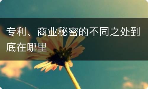 专利、商业秘密的不同之处到底在哪里