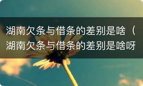 湖南欠条与借条的差别是啥（湖南欠条与借条的差别是啥呀）