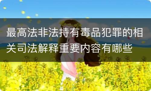 最高法非法持有毒品犯罪的相关司法解释重要内容有哪些