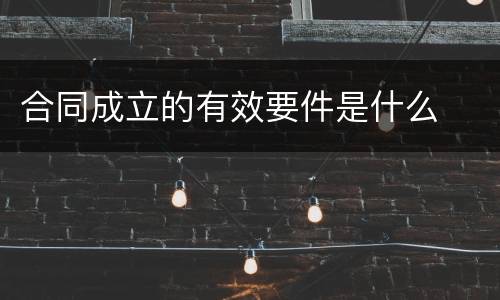 合同成立的有效要件是什么