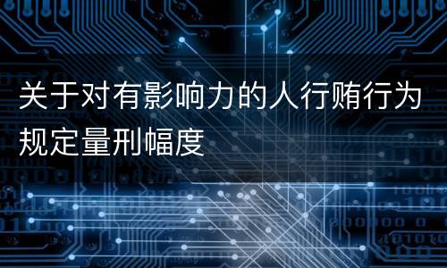 关于对有影响力的人行贿行为规定量刑幅度