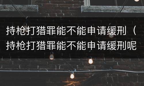 持枪打猎罪能不能申请缓刑（持枪打猎罪能不能申请缓刑呢）