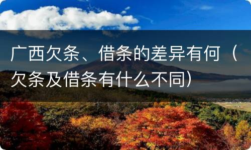 广西欠条、借条的差异有何（欠条及借条有什么不同）