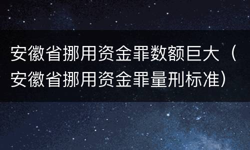 安徽省挪用资金罪数额巨大（安徽省挪用资金罪量刑标准）