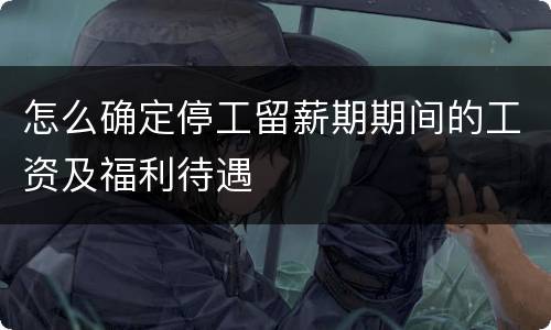 怎么确定停工留薪期期间的工资及福利待遇