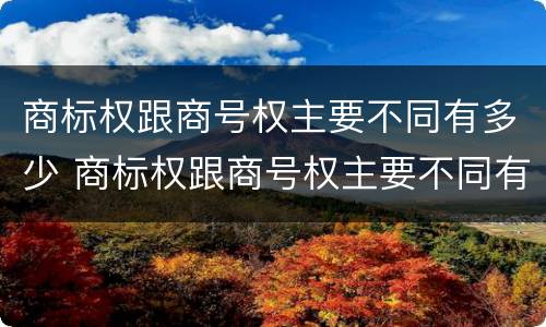 商标权跟商号权主要不同有多少 商标权跟商号权主要不同有多少种