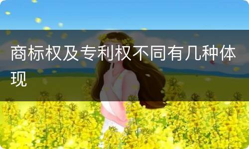 商标权及专利权不同有几种体现