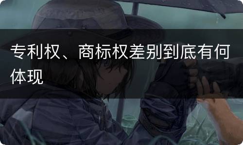 专利权、商标权差别到底有何体现