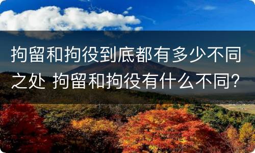 拘留和拘役到底都有多少不同之处 拘留和拘役有什么不同?