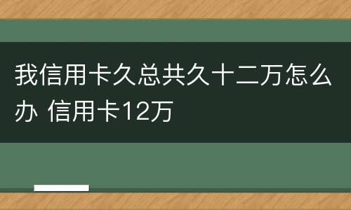 我信用卡久总共久十二万怎么办 信用卡12万