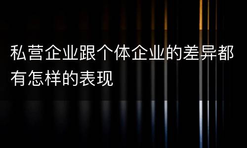私营企业跟个体企业的差异都有怎样的表现