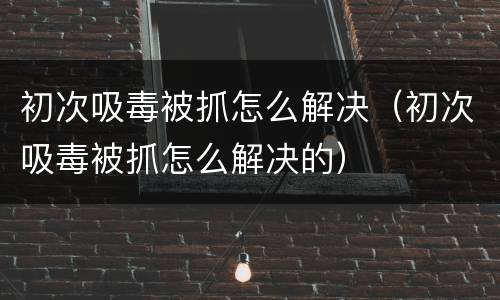 初次吸毒被抓怎么解决（初次吸毒被抓怎么解决的）