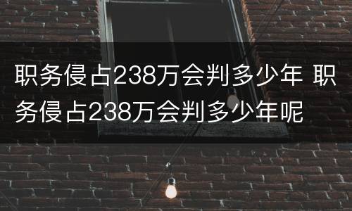 职务侵占238万会判多少年 职务侵占238万会判多少年呢