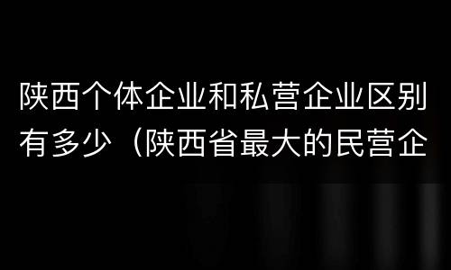 陕西个体企业和私营企业区别有多少（陕西省最大的民营企业是什么公司）