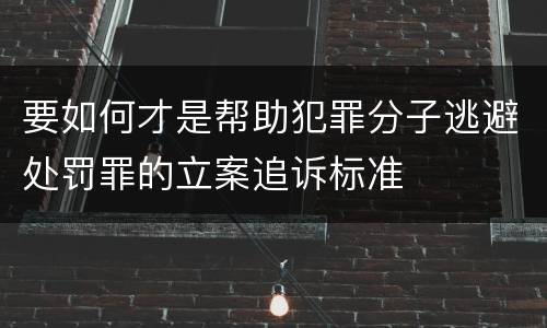 要如何才是帮助犯罪分子逃避处罚罪的立案追诉标准