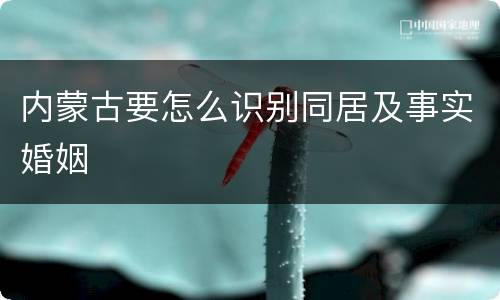 内蒙古要怎么识别同居及事实婚姻